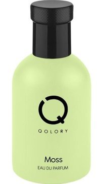 Qolory Moss EDP Ferah-Meyveli Erkek Parfüm 100 ml