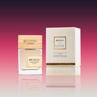 Brescia VIP23M Aromatik-Odunsu Erkek Parfüm 100 ml