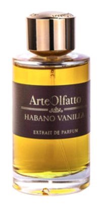Arte Olfatto Vanesya EDP Odunsu-Oryantal Erkek Parfüm 100 ml