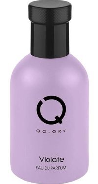 Qolory Violete EDP Aromatik-Odunsu Erkek Parfüm 100 ml