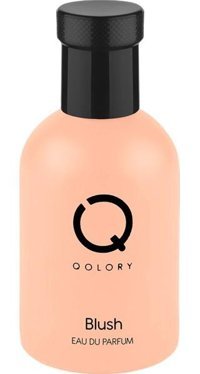 Qolory Blush EDP Erkek Parfüm 100 ml