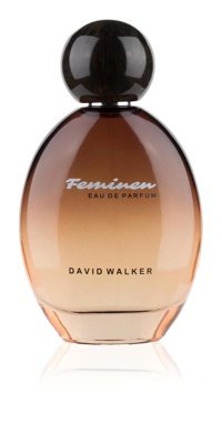 David Walker Feminen Colourful Erkek Parfüm 100 ml
