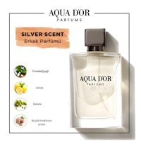 Aqua Dor Parfums Silver Scent EDP Baharatlı-Odunsu Erkek Parfüm 50 ml