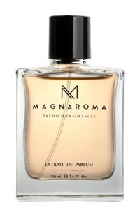 Magnaroma Premium Fragrances Charismatique EDP Meyveli-Oryantal Erkek Parfüm 100 ml