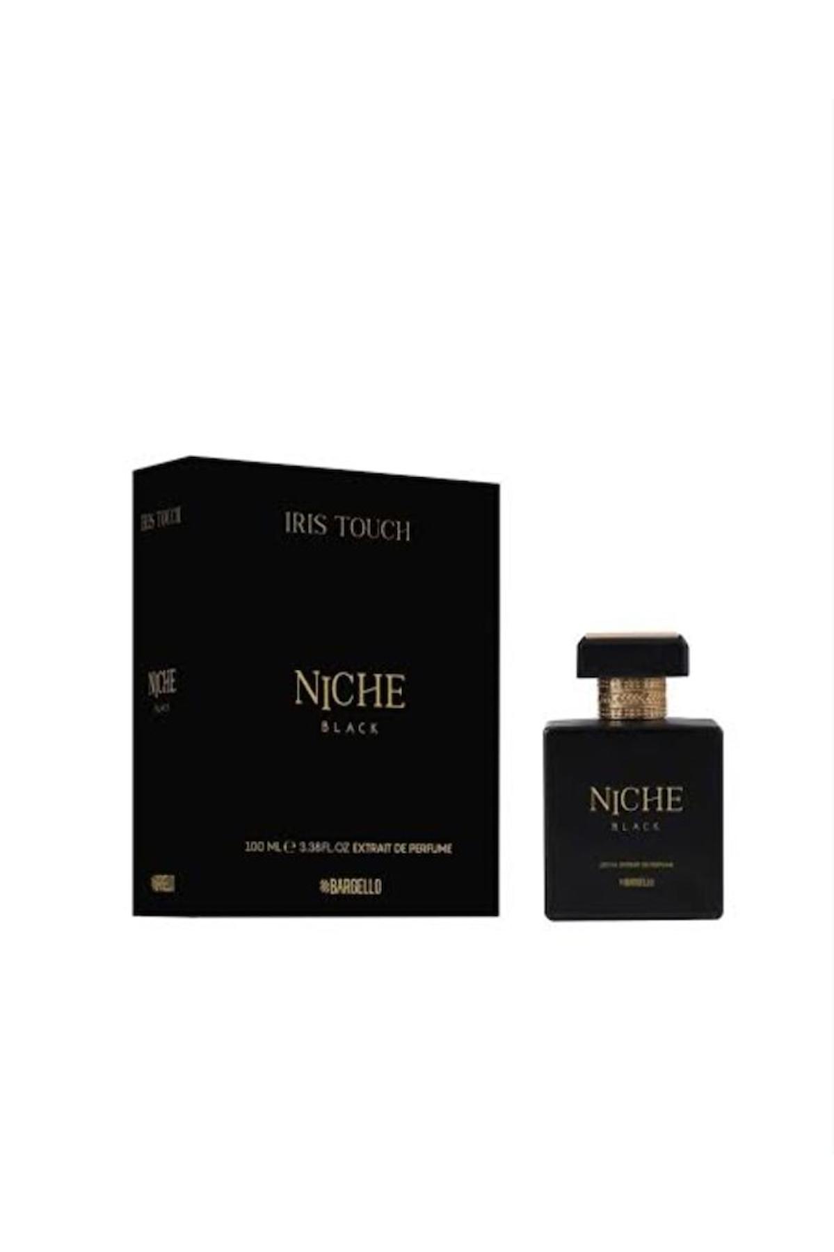 Niche Iris Touch Meyveli-Odunsu Erkek Parfüm 100 ml