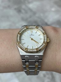 Coliseum 38 mm Gri-Rose Gold Çelik Kordon Analog Kadın Kol Saati