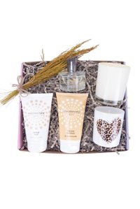 Osevio Gold Dreams 5 Parça Kadın Parfüm Seti EDT