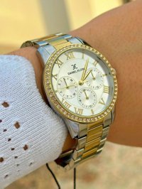 Daniel Klein DK.FT.1.172 31-35 mm Altın-Gri Çelik Kordon Analog Kadın Kol Saati