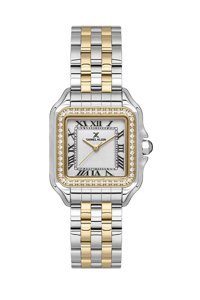 Daniel Klein DK102-DK.1.13619-2 30 mm Altın-Gri Çelik Kordon Analog Kadın Kol Saati
