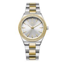 Ferro FL21446A-D 34 mm Altın-Gri Çelik Kordon Analog Kadın Kol Saati