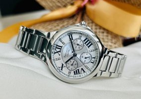 Ferrucci FCF-14386FM.1 Takvimli 33 mm Gri Çelik Kordon Analog Kadın Kol Saati