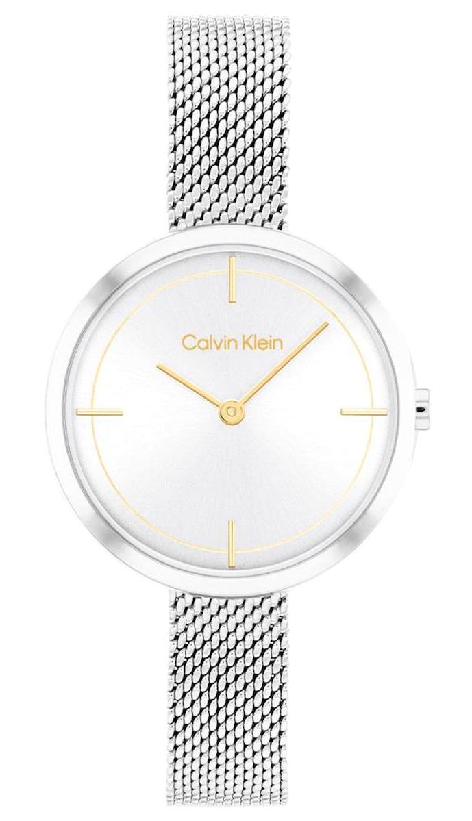 Calvin Klein CK25200184 30 mm Gri Çelik Kordon Analog Kadın Kol Saati