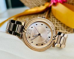 Jg. Polo Club JPC.1021.2323M.1 31-34 mm Altın Çelik Kordon Analog Kadın Kol Saati