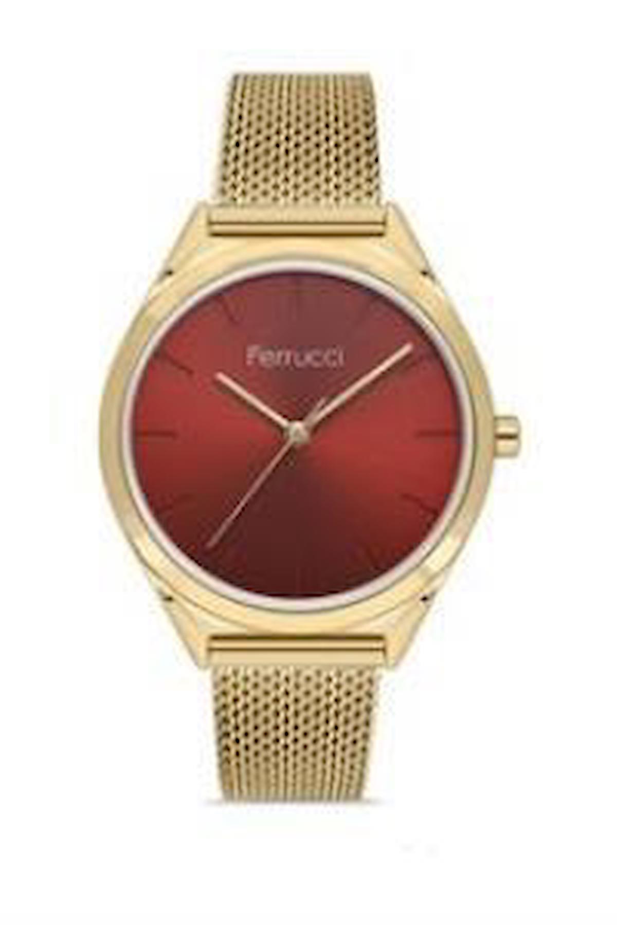 Ferrucci FC.0324.03301H.06 32 mm Altın Çelik-Hasır Kordon Analog Kadın Kol Saati
