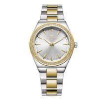 Ferro FL21446A-D 34 mm Altın-Gri Metal Kordon Analog Kadın Kol Saati