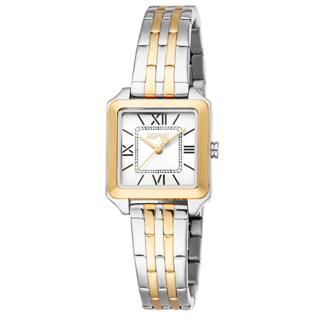 Esprit ES1L453M0065 23.5 mm Altın-Gri Çelik Kordon Analog Kadın Kol Saati