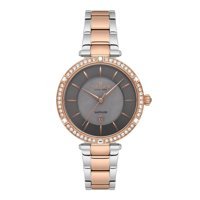 Nacar NC34-39B662-EGMS Takvimli 33 mm Gri-Rose Gold Çelik Kordon Analog Kadın Kol Saati