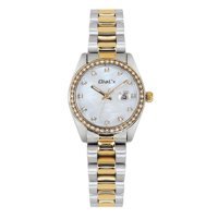 Dial X DX-5084-1 30 mm Altın-Gri Metal Kordon Analog Kadın Kol Saati