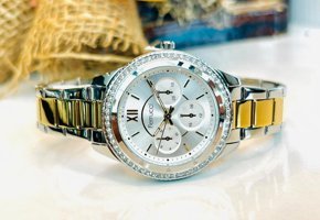 Ferrucci FC.14207M.05 Takvimli 33 mm Altın-Gri Çelik Kordon Analog Kadın Kol Saati