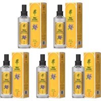 Rebul Lavanta Sprey Kolonya 5x100 ml