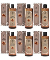 Rebul Dark Spice Cam Şişe Kolonya 6x270 ml