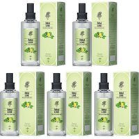 Rebul Lime Sprey Kolonya 5x100 ml