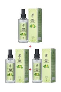 Rebul Lime Kolonya 3x100 ml