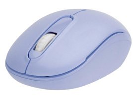 Everest SMW-666 Kablosuz Mor Optik Mouse