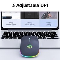 Cankypu E-1300 RGB Ergonomik Kablolu Gümüş Optik Mouse