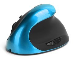 Bewinner M8S 8 Ergonomik Dikey Makrolu Kablosuz Mavi Optik Gaming Mouse