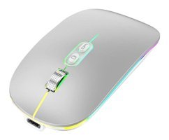 Cankypu Bt5 RGB Ergonomik Kablosuz Gümüş Optik Mouse