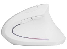 Yunseity RGB Ergonomik Dikey Makrolu Kablosuz Beyaz Optik Mouse