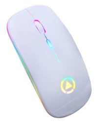 Gatuida RGB Sessiz Ergonomik Kablosuz Beyaz Optik Gaming Mouse