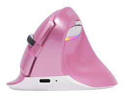 Delux RGB Sessiz Ergonomik Dikey Makrolu Kablosuz Pembe Optik Mouse