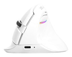 Delux RGB Sessiz Ergonomik Dikey Makrolu Kablosuz Beyaz Optik Mouse