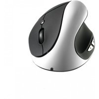Jingyi Sessiz Ergonomik Dikey Makrolu Kablosuz Gümüş Optik Mouse