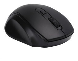 Ashata Ergonomik Kablosuz Siyah Optik Mouse