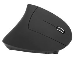 Bewinner Ergonomik Dikey Makrolu Kablosuz Siyah Optik Mouse