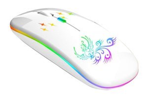 Cankypu Wirel RGB Ergonomik Kablosuz Beyaz Optik Mouse