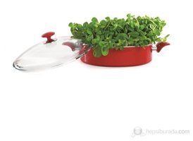 Essenso Ecotouch Napoli Cam Kapaklı Granit 26 cm Basık Tencere