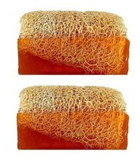 Protecsun Doğal Kabak Lifli Bal-Kabak Lifli Katı Sabun 2x110 gr