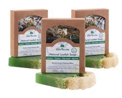 The Soap Factory Doğal Kayısı-Kekik-Keten Tohumu-Limon Katı Sabun 3x120 gr