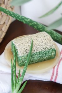 Turkishcare Doğal Kabak Lifli Aloe Vera-Kabak Lifli Katı Sabun 120 gr