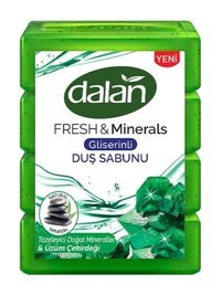 Dalan Doğal Doğal Mineraller Katı Sabun 600 gr