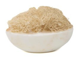 Teos Soap Doğal El Yapımı Kabak Lifli Katı Sabun 177 gr