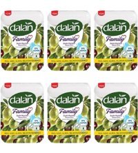 Dalan Zeytinyağlı Katı Sabun 24x75 gr