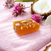Organicsun Besleyici Ve Onarıcı Hindistan Cevizi-Shea Butter Katı Sabun 2x140 gr