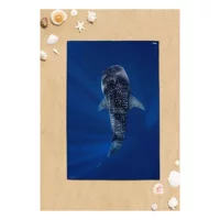 Dogo Mare Spotted Whale Plaj Havlusu Çok Renkli