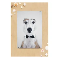 Dogo Mare Italian Greyhound Plaj Havlusu Çok Renkli