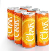 Elvan Portakal 6x250 ml